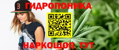 mix Можга