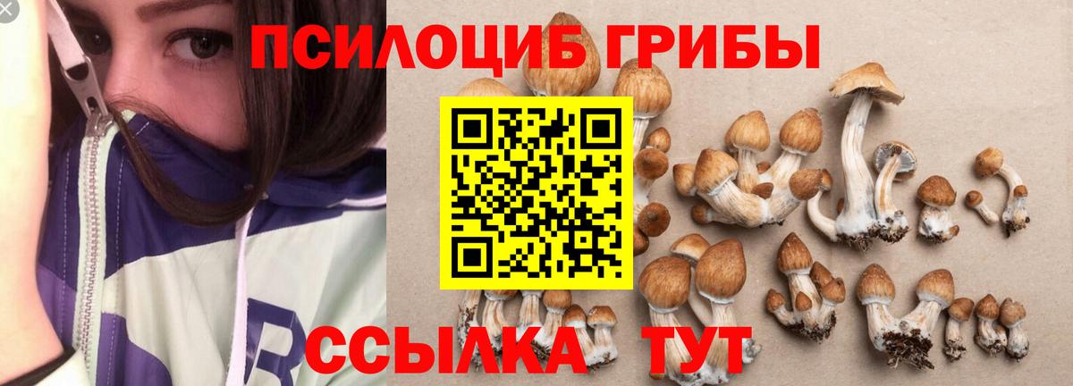 купить  сайты  Псилоцибиновые грибы Psilocybine cubensis  Псилоцибиновые грибы Psilocybine cubensis  Вход с VPN  Чусовой 