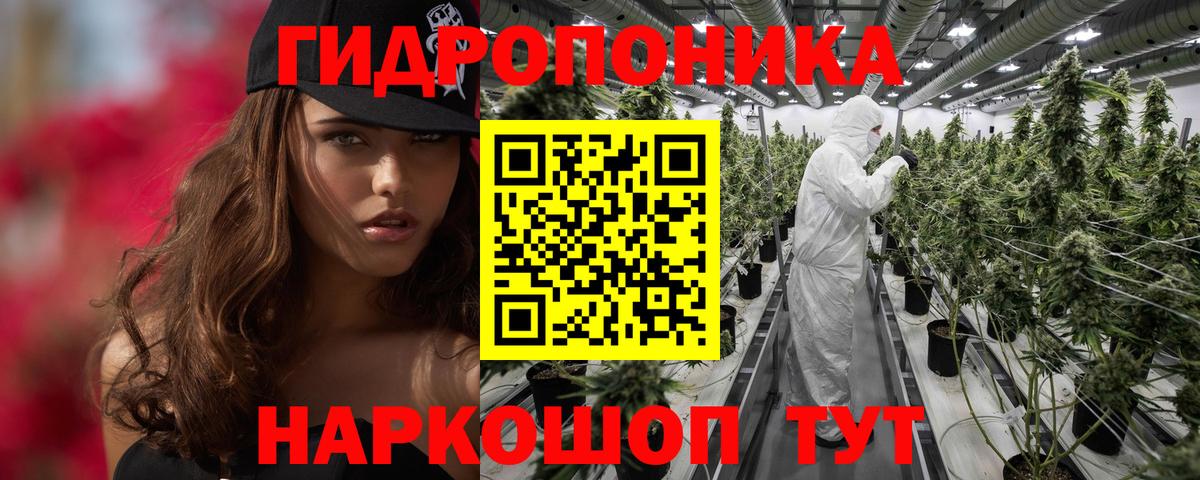 Каннабис Amnesia  Бошки марихуана THC 21%  Конопля OG Kush  Бошки Шишки SATIVA & INDICA  Вход с VPN  Чусовой 